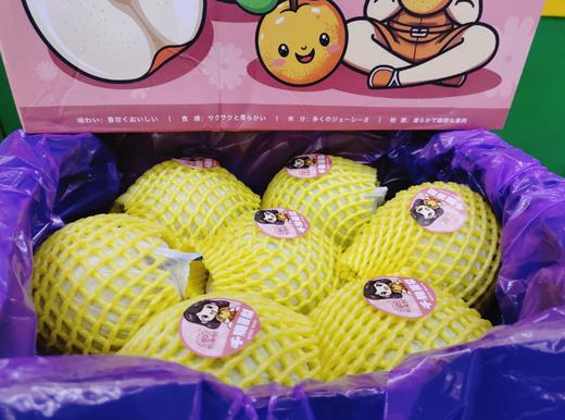 翡翠蜜梨一箱 商品图2