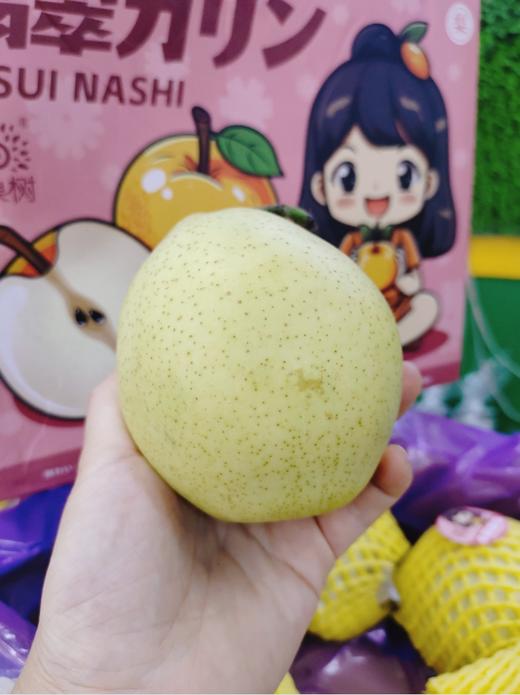 翡翠蜜梨一箱 商品图4