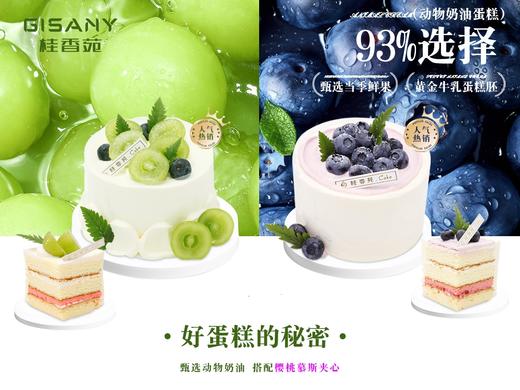 原价48元购4英寸动物奶油水果蛋糕图款水果随机搭配 商品图0