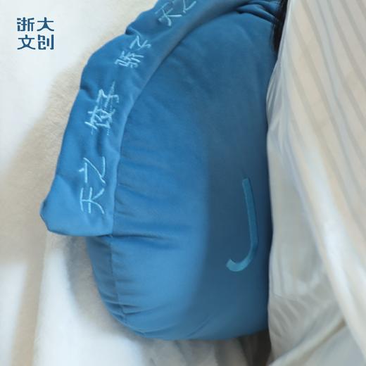 【浙大文创】浙江大学天之骄子抱枕靠垫 商品图2