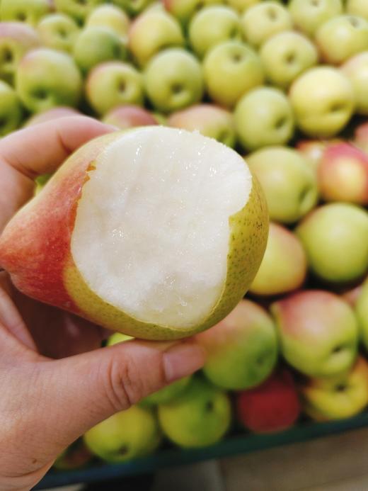 一面红茄梨2斤 商品图1