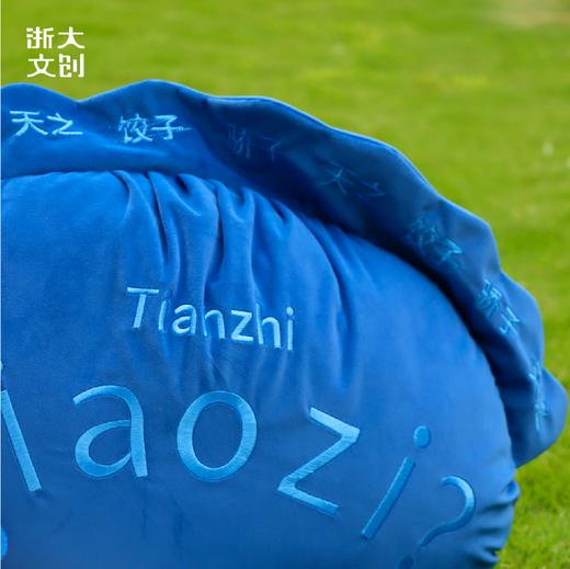 【浙大文创】浙江大学天之骄子抱枕靠垫 商品图1