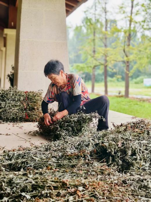 艾草包 50g 商品图4