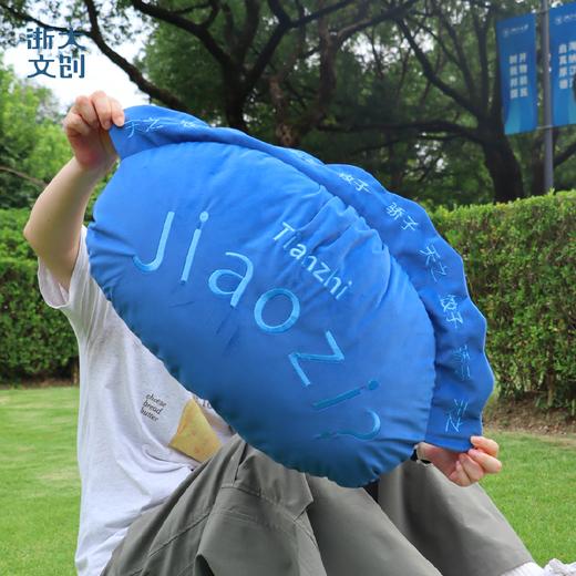 【浙大文创】浙江大学天之骄子抱枕靠垫 商品图0