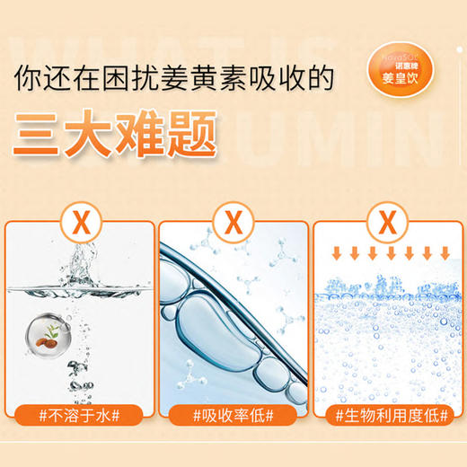 诺惠牌姜皇植物饮25ml*10瓶 商品图3