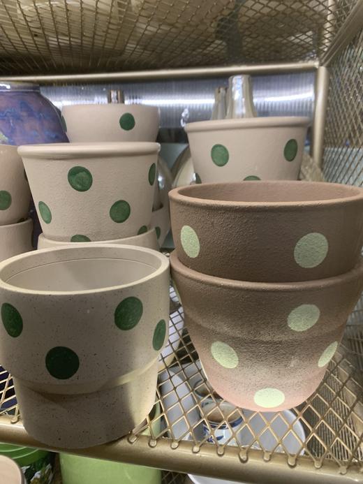 圆点花盆 商品图0