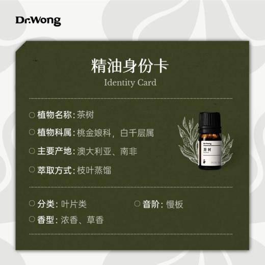 茶树 单方精油  商品图2