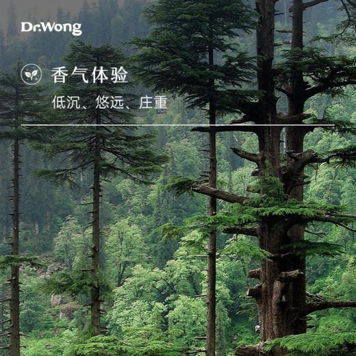 喜马拉雅雪松 单方精油 商品图1