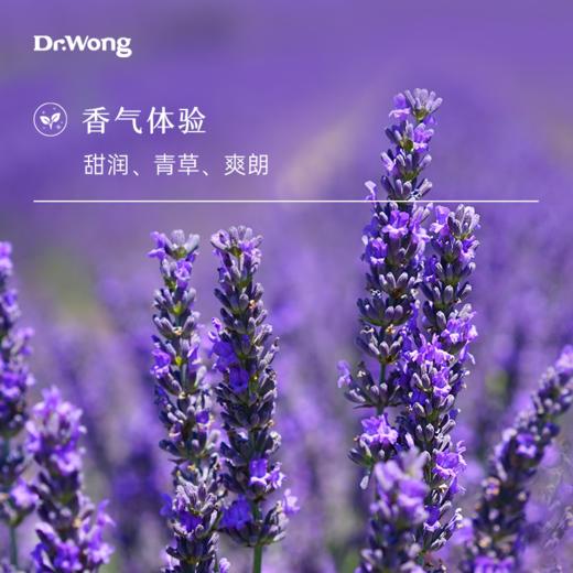 醒目薰衣草15/50ml 单方精油 商品图1