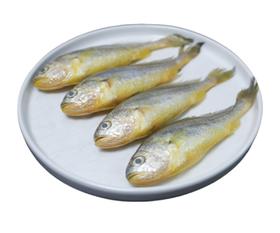 舟山野生小黄鱼（1斤8-9条）