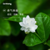 小花茉莉 单方精油 商品缩略图1