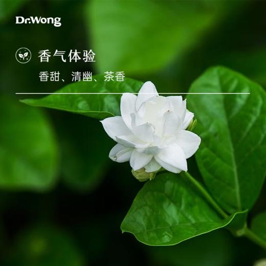 小花茉莉 单方精油 商品图1