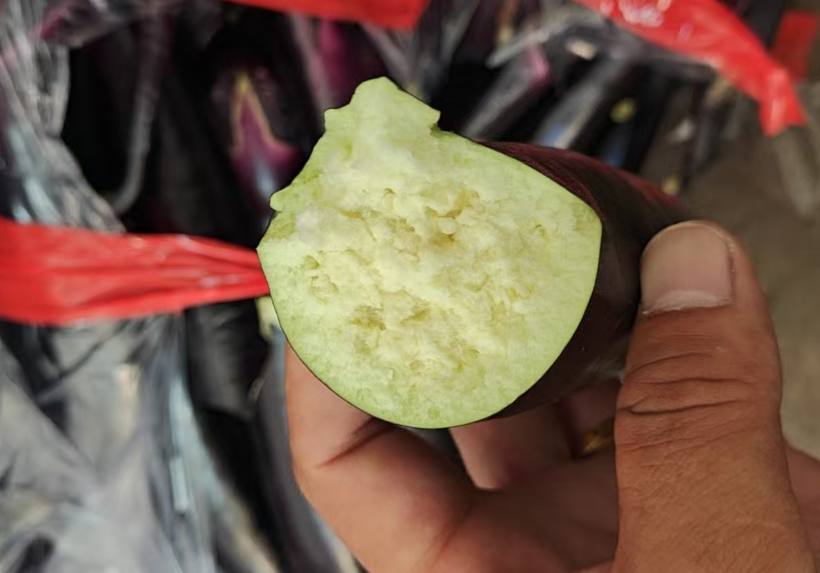 紫茄子一包（40斤）