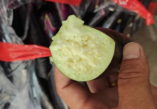 紫茄子一包（40斤） 商品图0