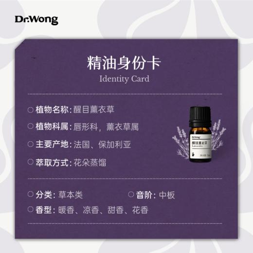 醒目薰衣草 单方精油 商品图2