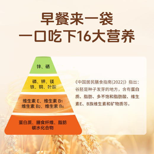小麦胚芽 麦香浓郁 450g/盒【升级版 低GI】 商品图2