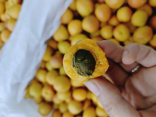 吊干杏一箱 商品图2