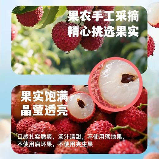 德和·荔枝罐头567g*6罐 商品图1