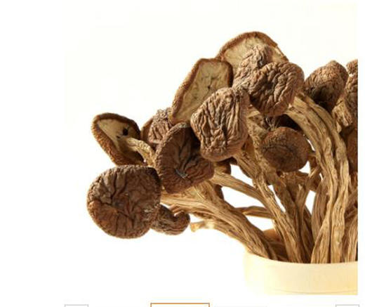 百丈泉茶树菇200克/罐 商品图3