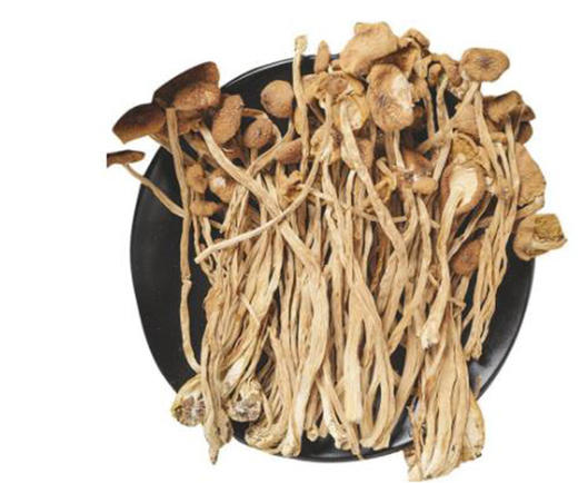 百丈泉茶树菇200克/罐 商品图2