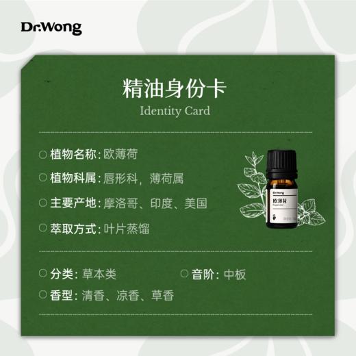 欧薄荷 单方精油 商品图2