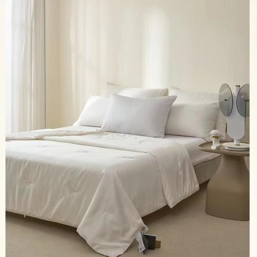 弈素 山珍丝双抗蚕丝被 商品图0