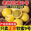 【云南红河▪钦蜜9号黄金百香果】顺丰包邮 酸甜多汁 果粒金黄饱满 果香浓郁 色泽艳丽 4种规格任选 商品缩略图4
