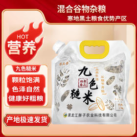 海伦半亩田九色糙米 2.5kg  吸嘴袋