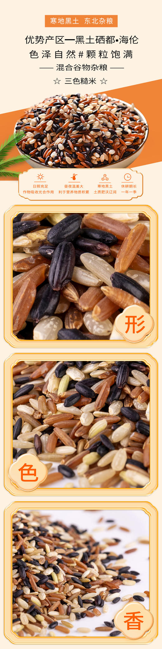 海伦半亩田三色糙米2.5kg 商品图2