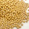海伦半亩田大豆2kg 商品缩略图2