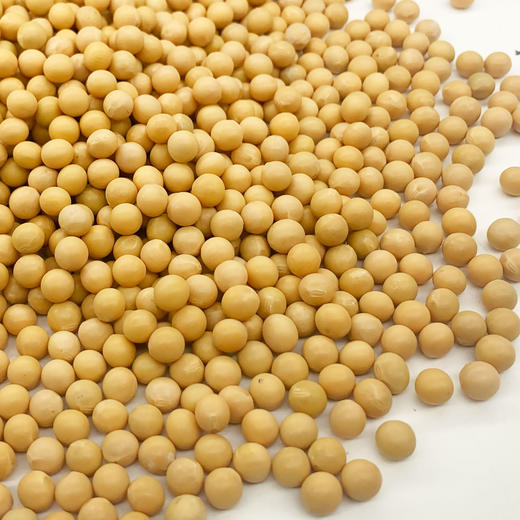 海伦半亩田大豆2kg 商品图2