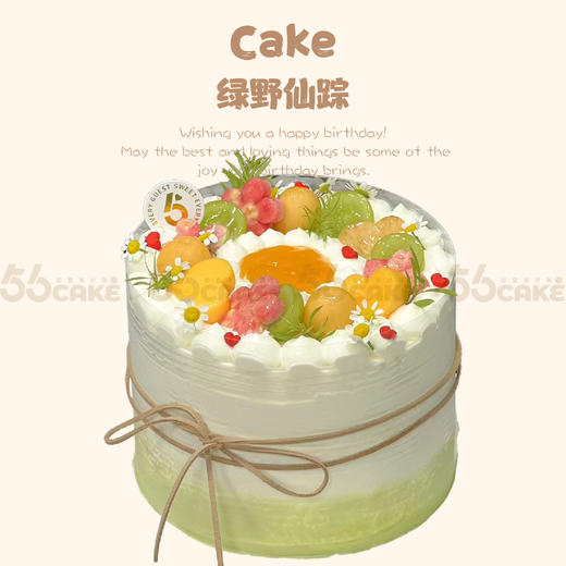 绿野仙踪 商品图0