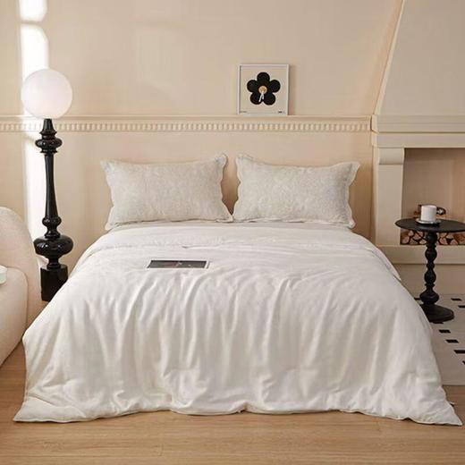 黛富妮蜜雅大豆纤维四季被 被芯 商品图0