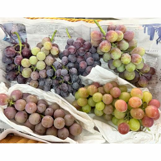【“葡”写浪漫】新鲜水果 郧阳区万家坪葡萄 巨玫瑰/BK/老巨峰/枫香月混合组合装 1筐（带筐5斤以上）十堰主城区包邮 商品图0