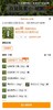 可遇不可求的好货 自然疗愈之白鼠尾草 商品缩略图6