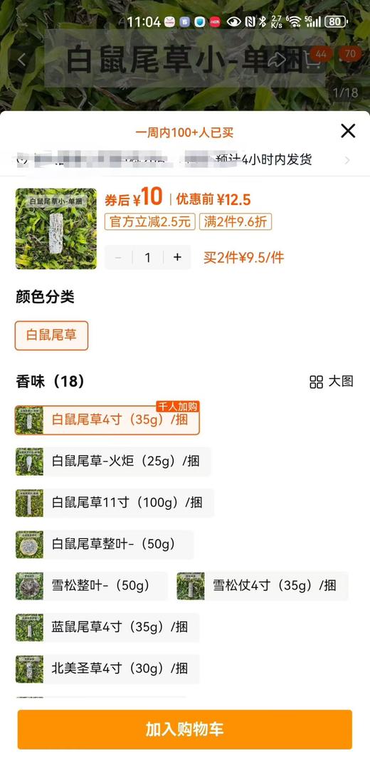 可遇不可求的好货 自然疗愈之白鼠尾草 商品图6