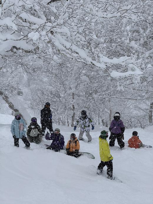 【25/26雪季元旦】12月31日-1月4日 苗场&神乐A团，5天4晚3滑，新泻苗场王子滑进滑出6299元起 商品图1