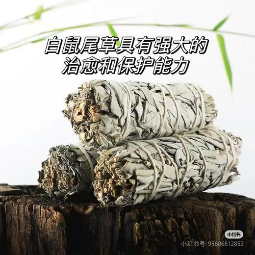 可遇不可求的好货 自然疗愈之白鼠尾草 商品图0