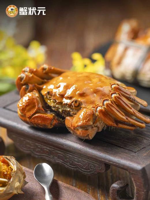 蟹状元大闸蟹3288型 公蟹5.0；母蟹3.5五对装 商品图4