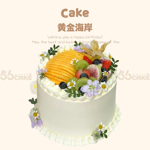 黄金海岸 商品图0