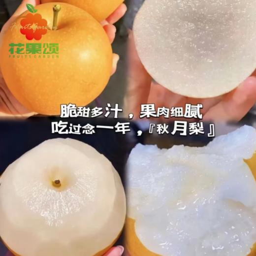秋月梨 商品图0