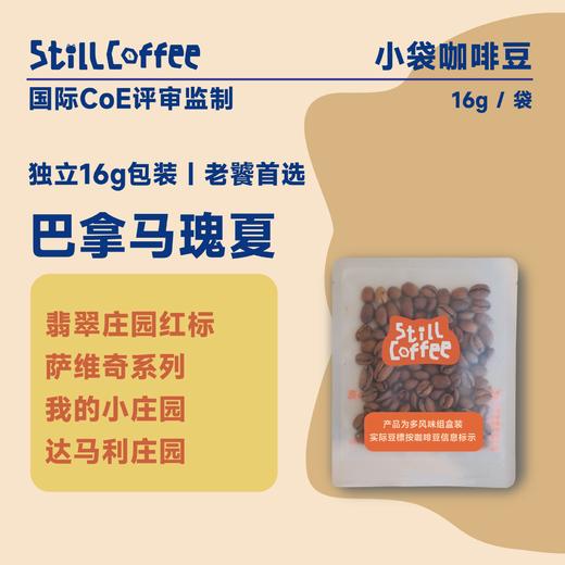 16g小袋豆｜巴拿马瑰夏 商品图0