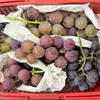 【“葡”写浪漫】新鲜水果 郧阳区万家坪葡萄 巨玫瑰/BK/老巨峰/枫香月混合组合装 1筐（带筐5斤以上）十堰主城区包邮 商品缩略图1