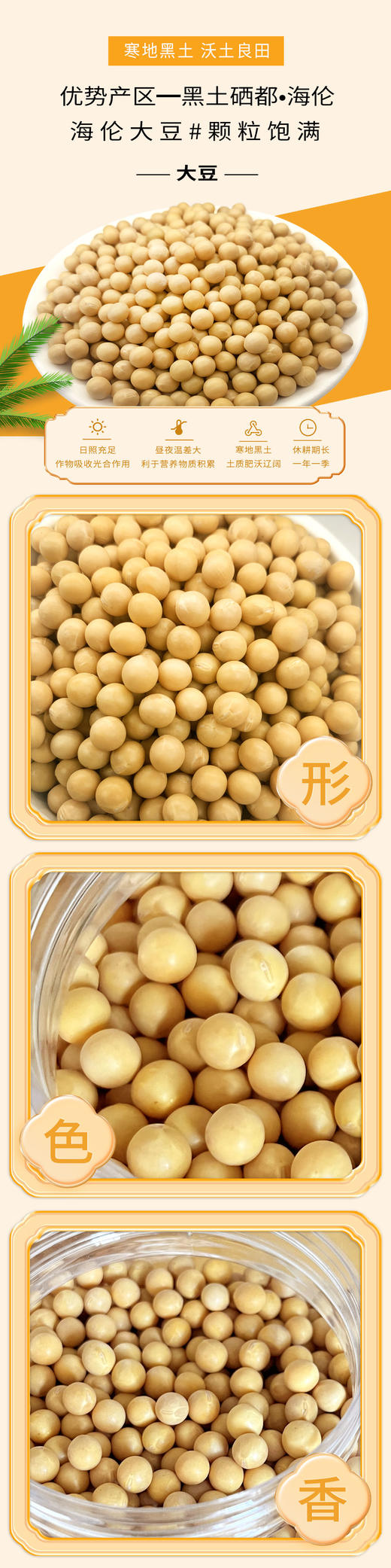 海伦半亩田大豆2kg 商品图1