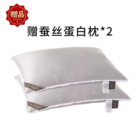 【会呼吸的蚕丝被】睡一次爱上一辈子，蓬松厚实四季好被！（2/12-2/22停发） 商品图7