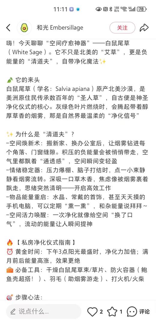 可遇不可求的好货 自然疗愈之白鼠尾草 商品图3