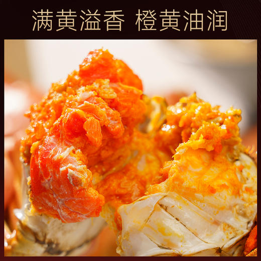 蟹状元-中秋大闸蟹礼卡JLX 多规格可选【中秋礼】 商品图3