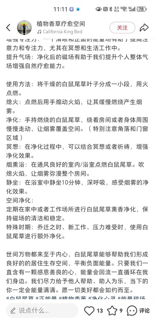 可遇不可求的好货 自然疗愈之白鼠尾草 商品图2