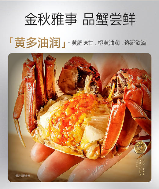 蟹状元-中秋大闸蟹礼卡JLX 多规格可选【中秋礼】 商品图2