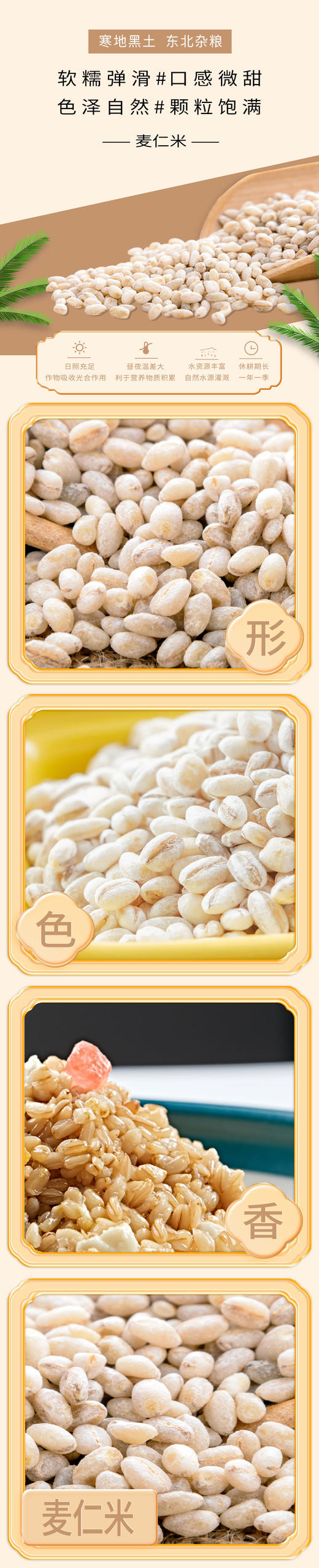 海伦半亩田麦仁米2.5kg 商品图2